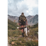 Forest 25 - Image 6